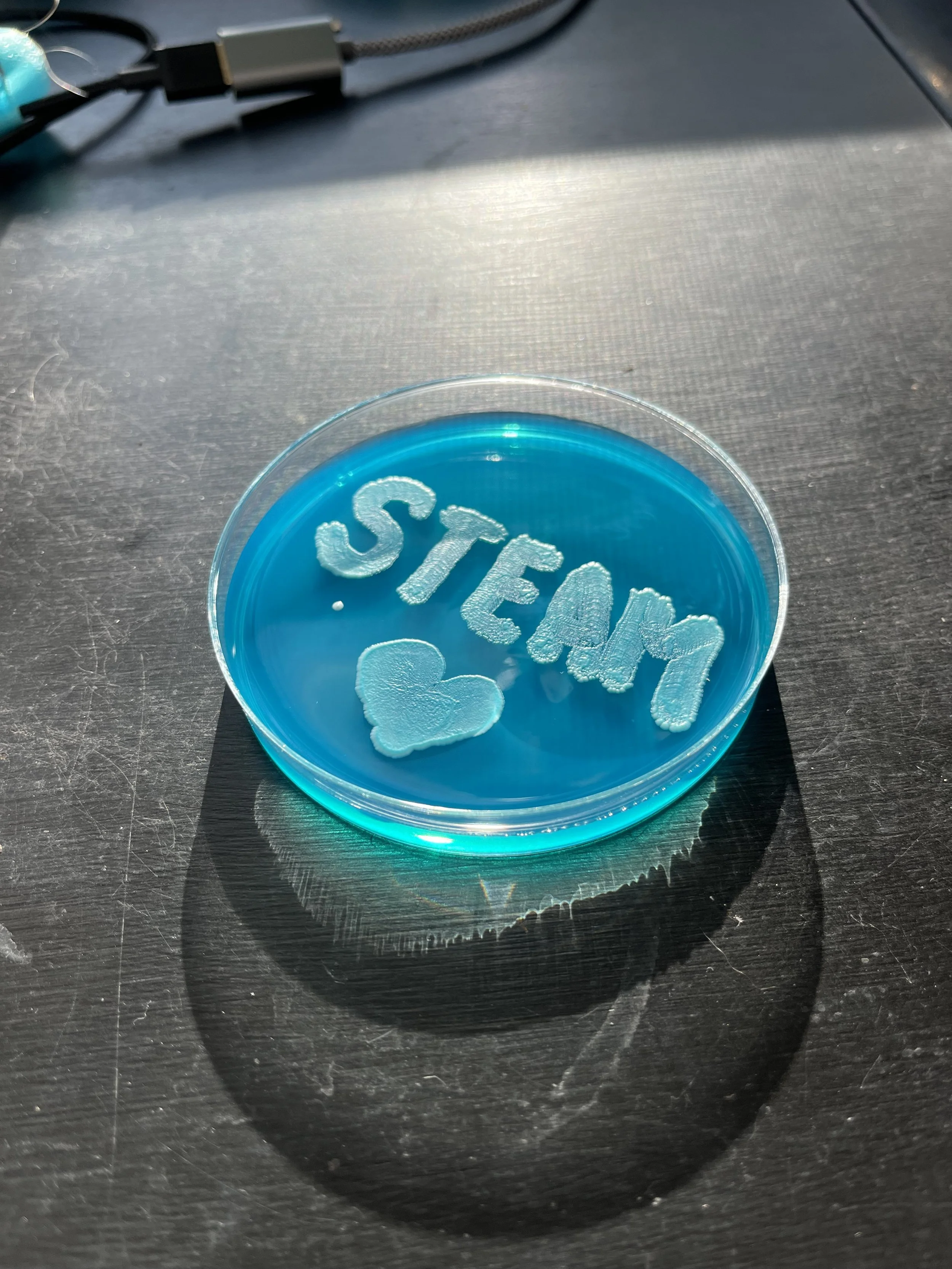 Microbial Art — The Microbe Institute