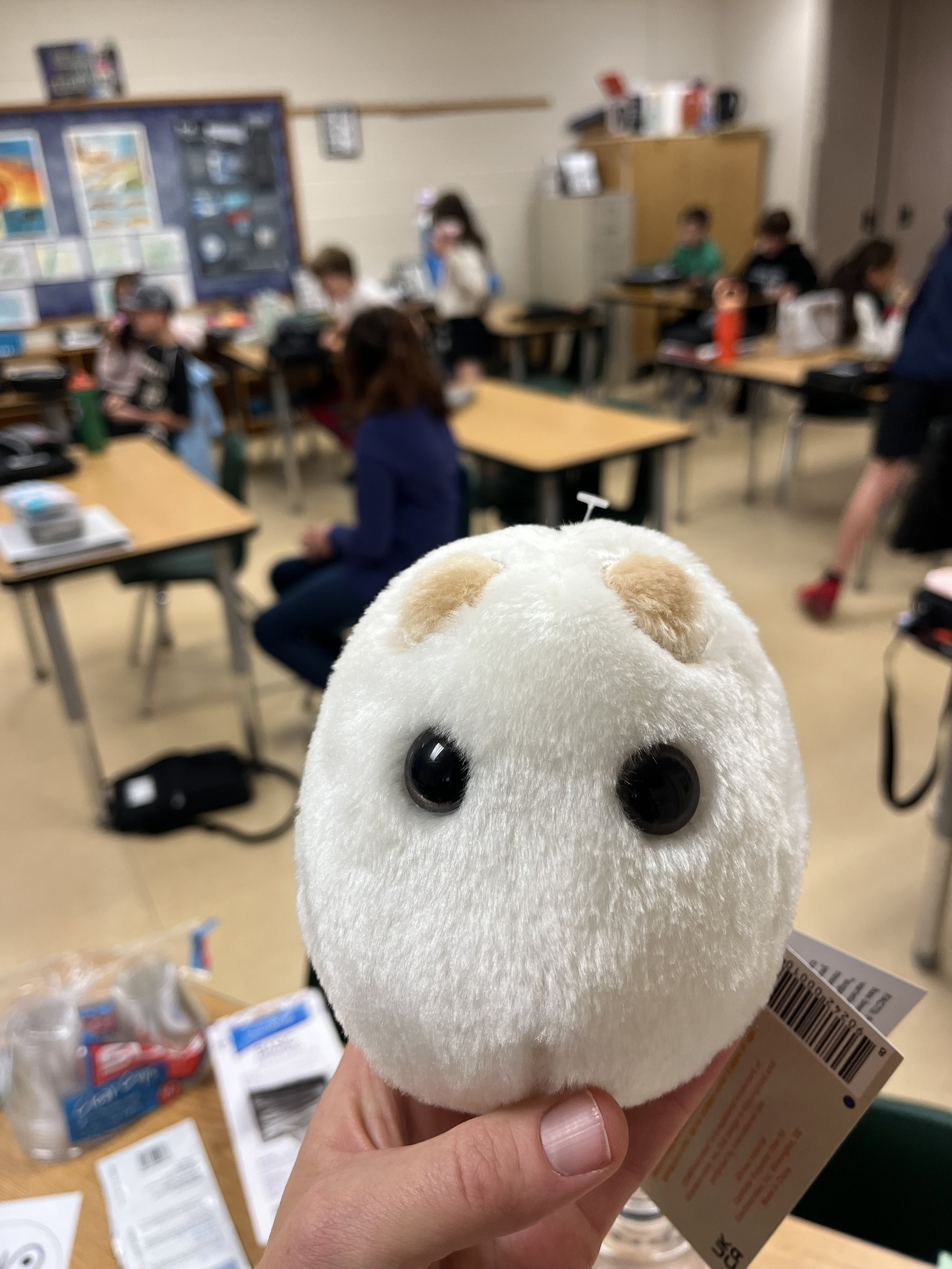 Yeast_withblurred_students_IMG_6510.jpg