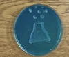 Microbial Art — The Microbe Institute