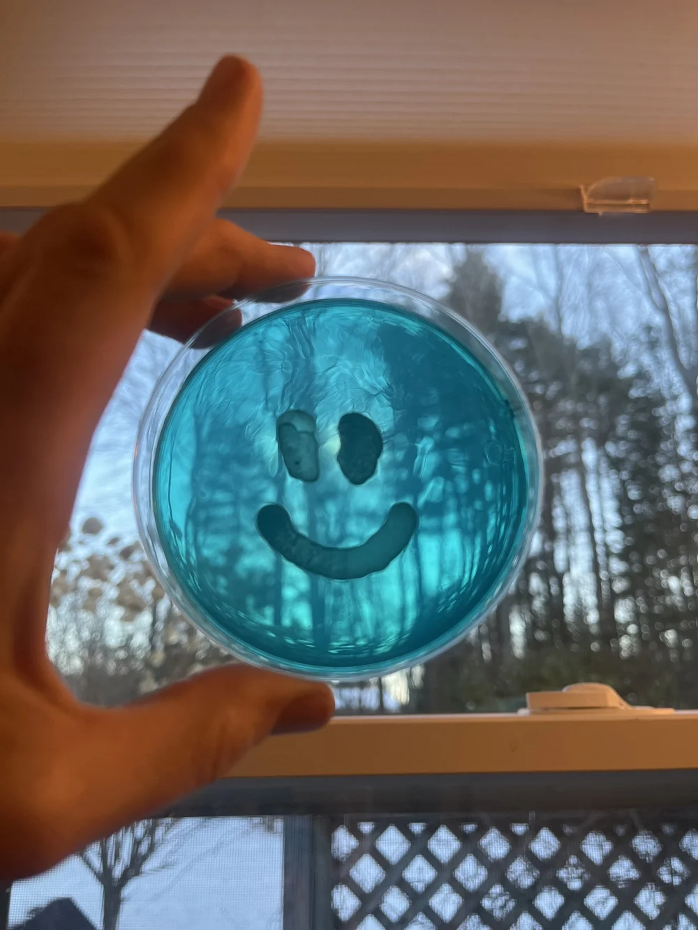 Microbial Art — The Microbe Institute