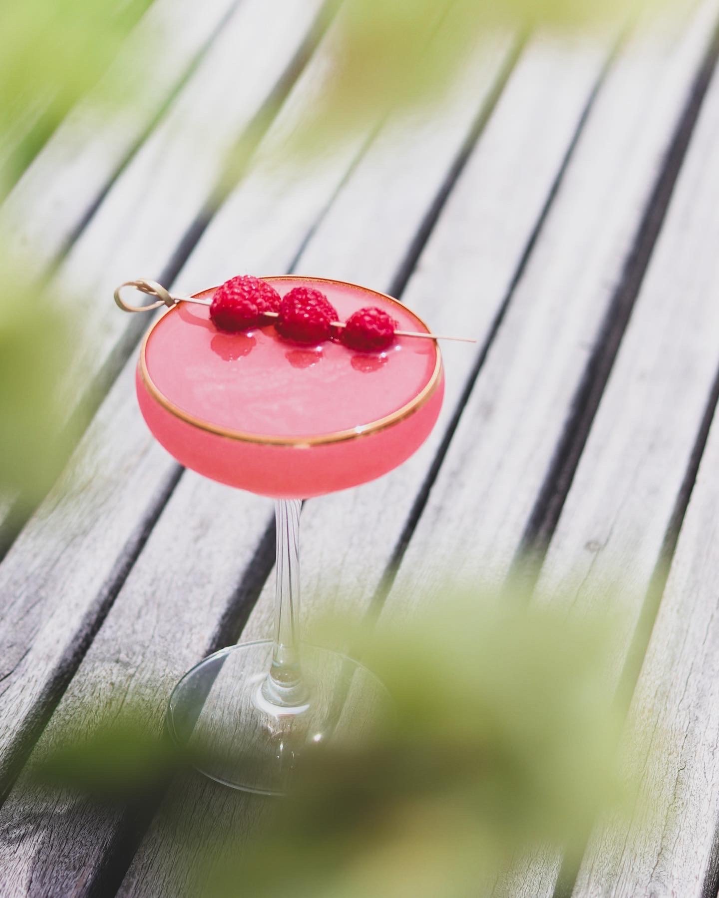 Raspberry Gimlet.jpg