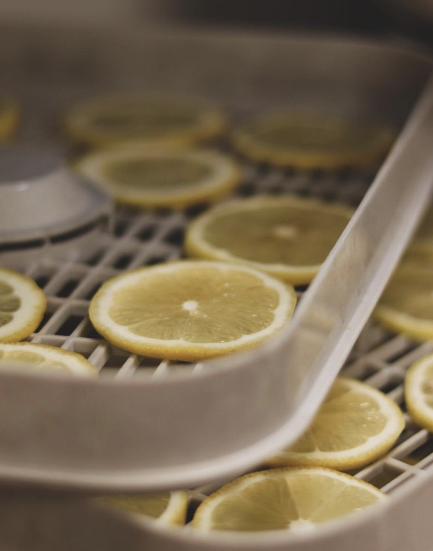 Screenshot 2024-01-31 at 12.03.43 AM.png