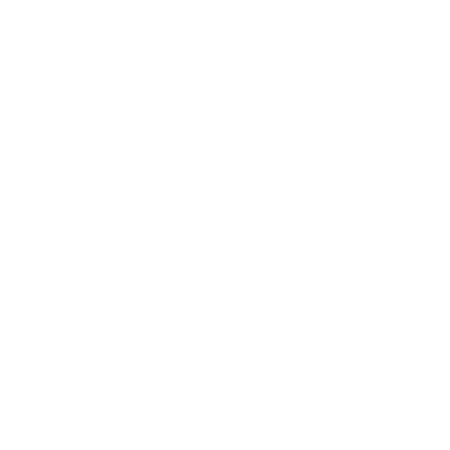 The Daniel Boyer Team