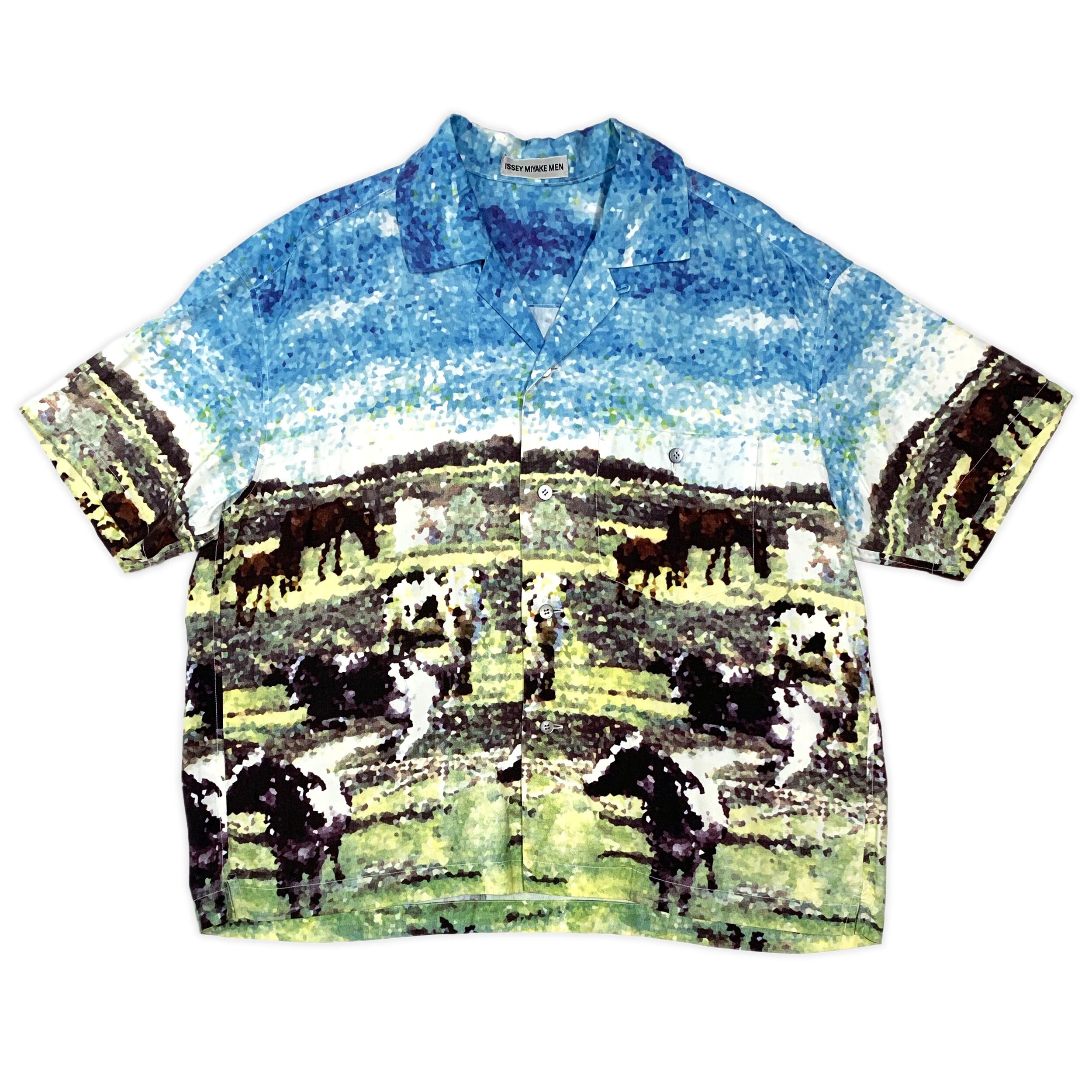 Colourful Ranch Rayon Camp Collar Shirt