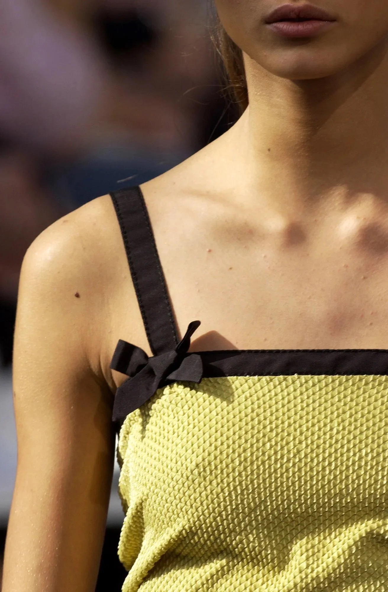 00510h-1-louis-vuitton-spring-2003-ready-to-wear-detail.jpeg