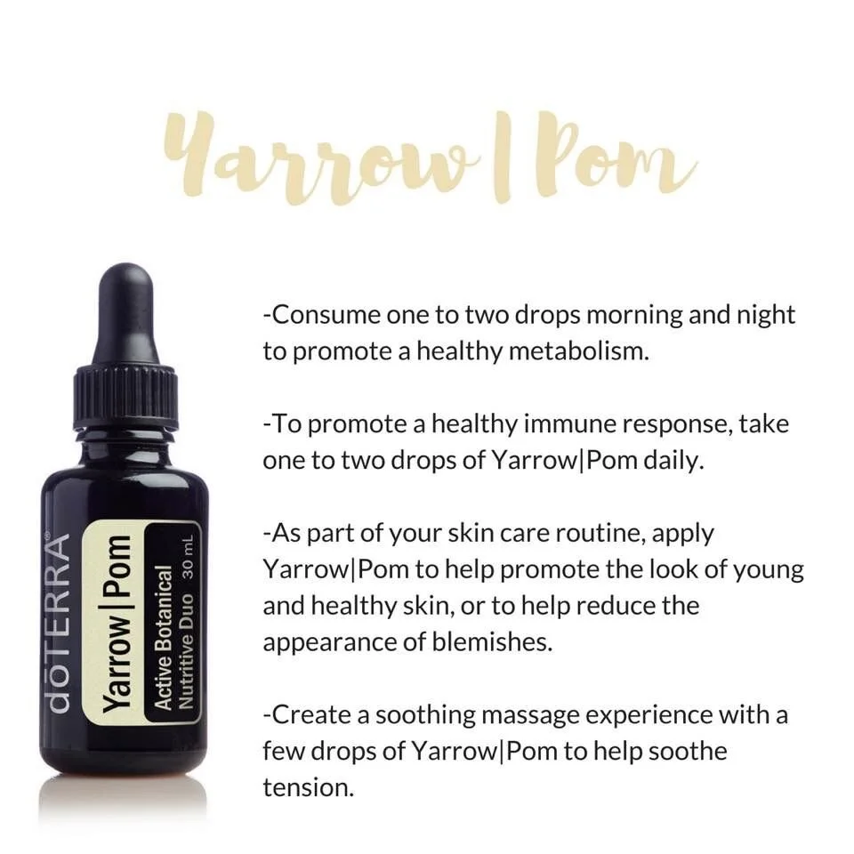 yarrow:pom.jpg
