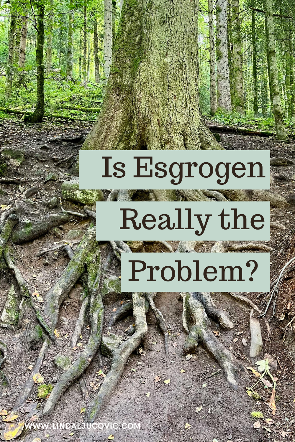 Is Estrogen Really the Problem?