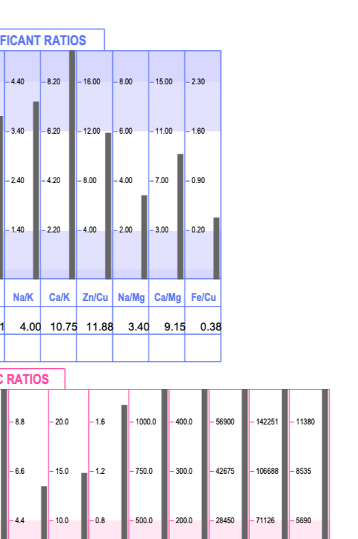 Chart displaying elements' ratios with bars indicating statistical values, divided into sections for specific ratios like Na/K, Ca/K, Zn/Cu, Na/Mg, Ca/Mg, and Fe/Cu, with color-coded labels and numerical data.