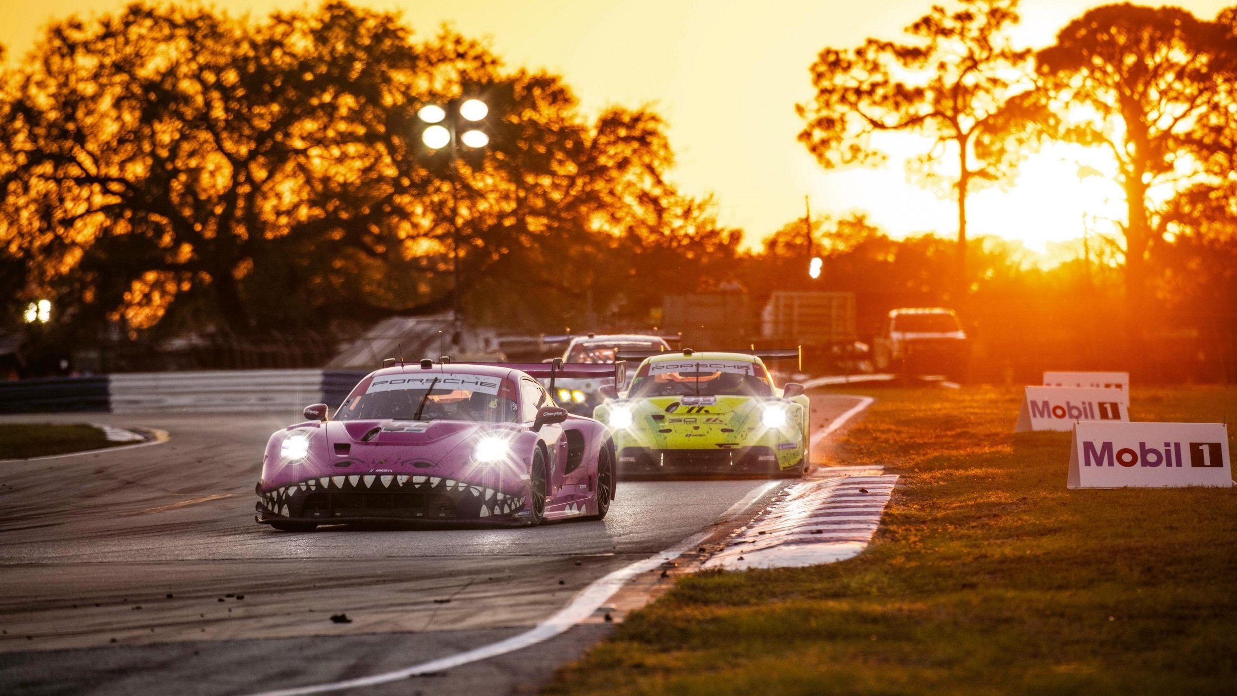 Roxy vs. Grello: A special duel