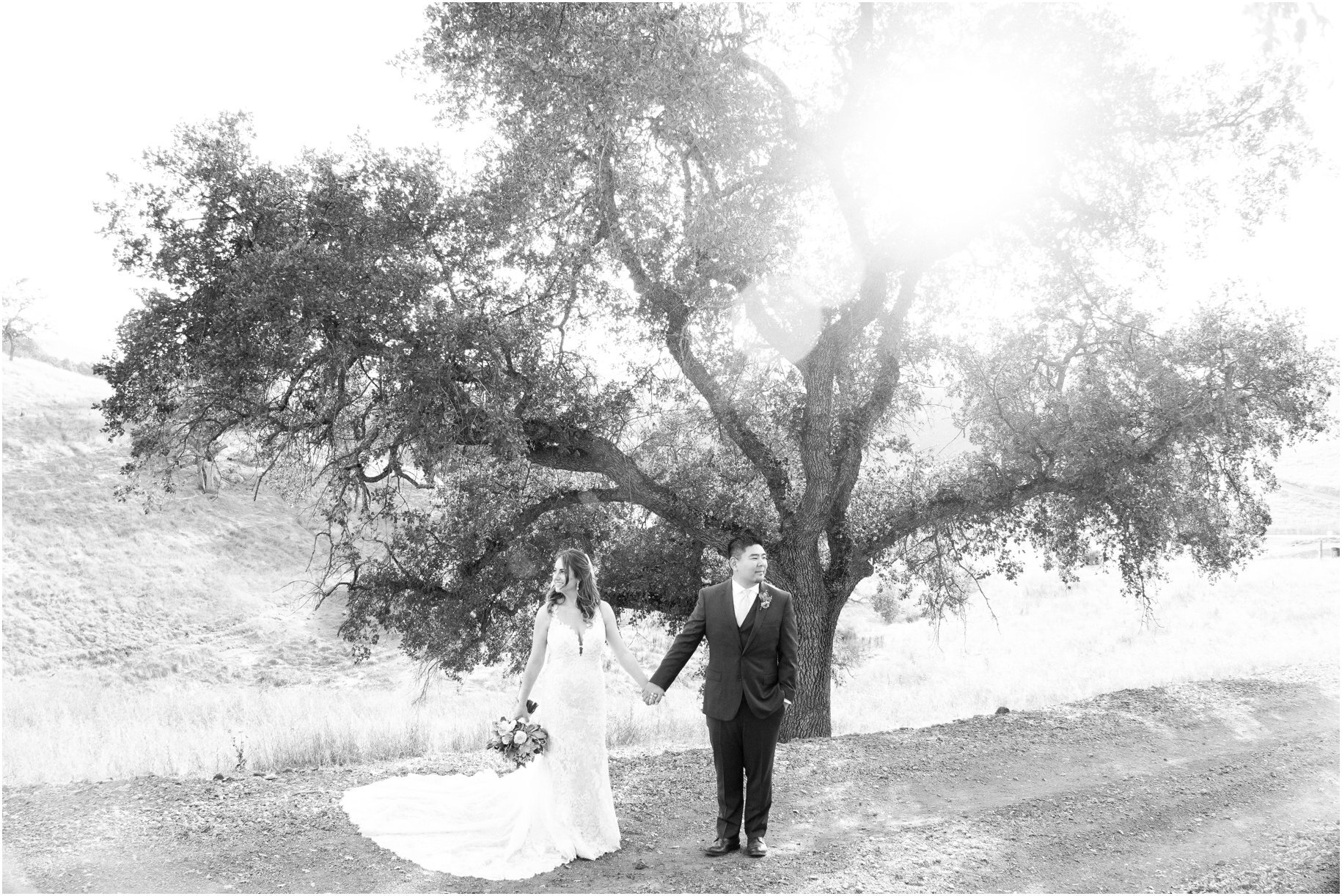1985lukephotography.com | 1985 Luke Photography Bay Area San Francisco Northern California Wedding Photographers Willow Heights Mansion | Morgan Hill Weddings 63.jpg