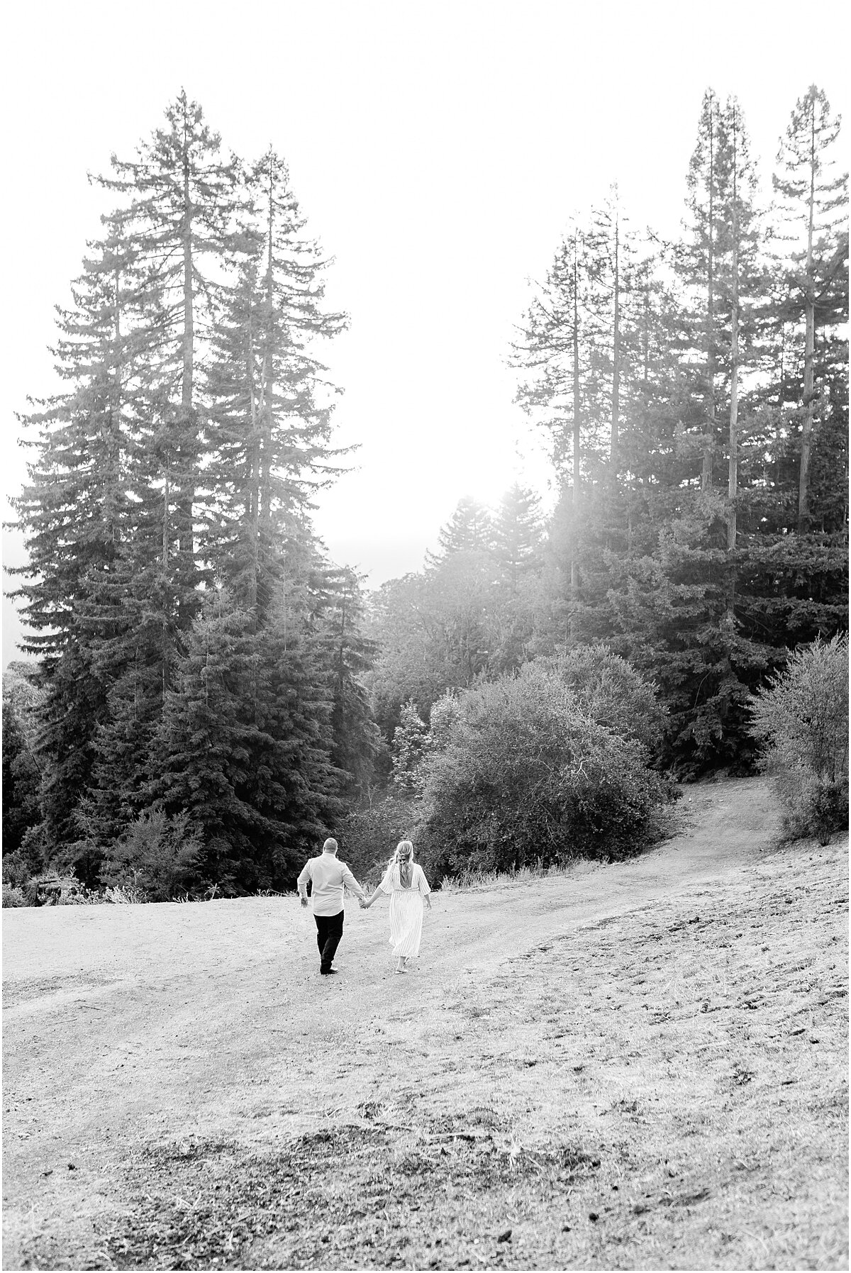 1985lukephotography.com | 1985 Luke Photography Bay Area San Francisco Northern California Wedding Engagement Photographers | Boulder Creek Engagements 43.jpg