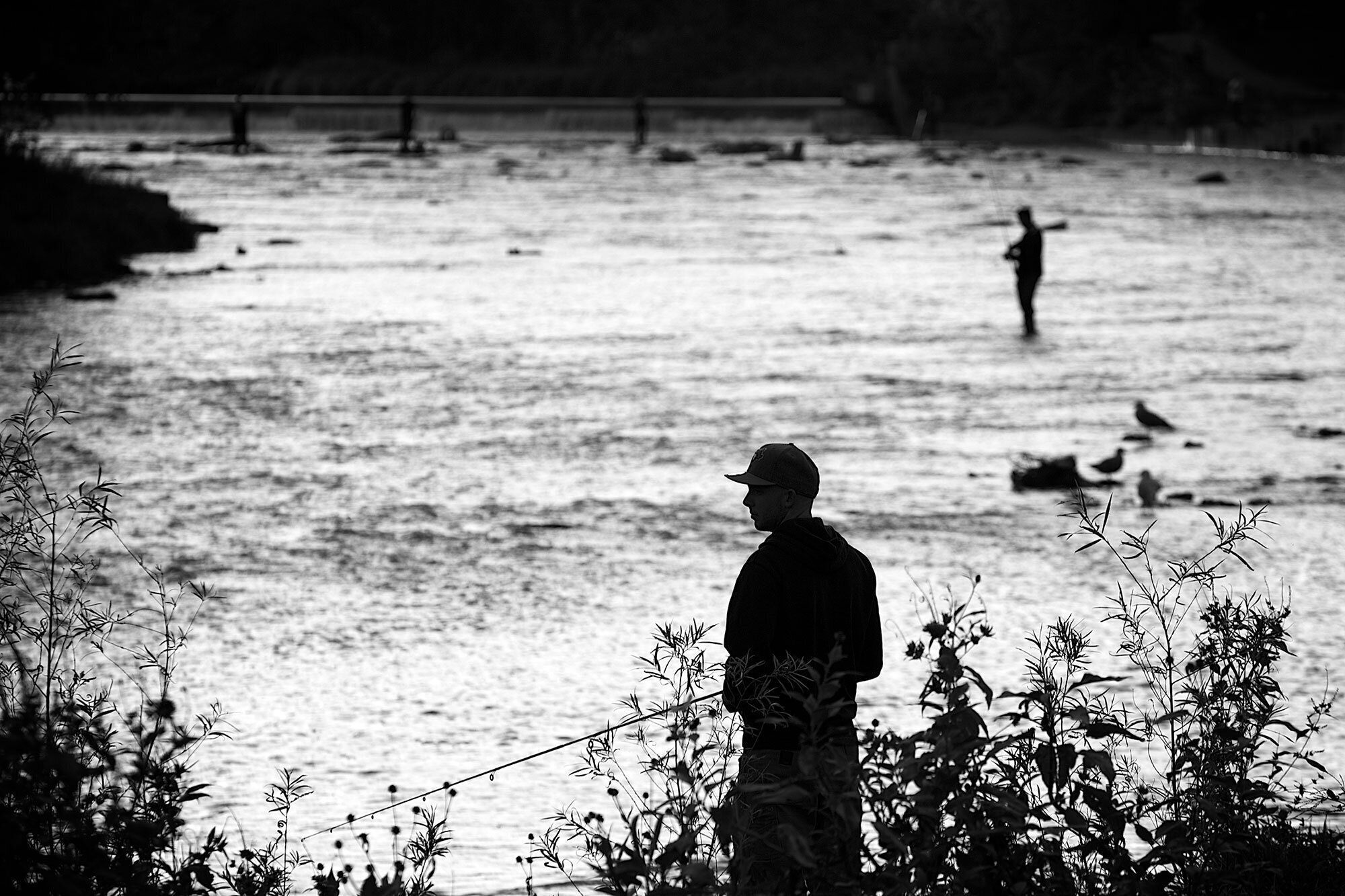 Three key sustainability tips to guide you this National Fishing Week