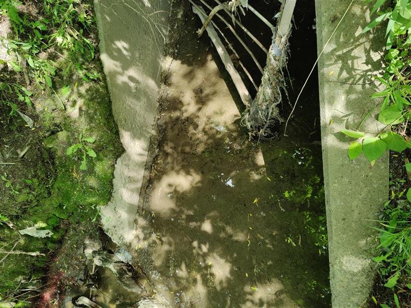 Outfall 5