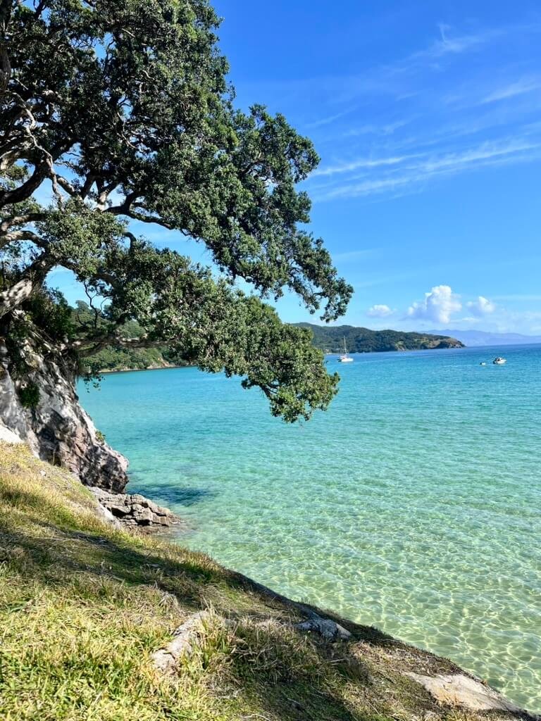 A scenic view of a clear, turquoise ocean with a rocky shoreline and a large tree with green leaves overhanging the water. In the background, there are distant hills, a blue sky with some clouds, and a few boats floating on the water.