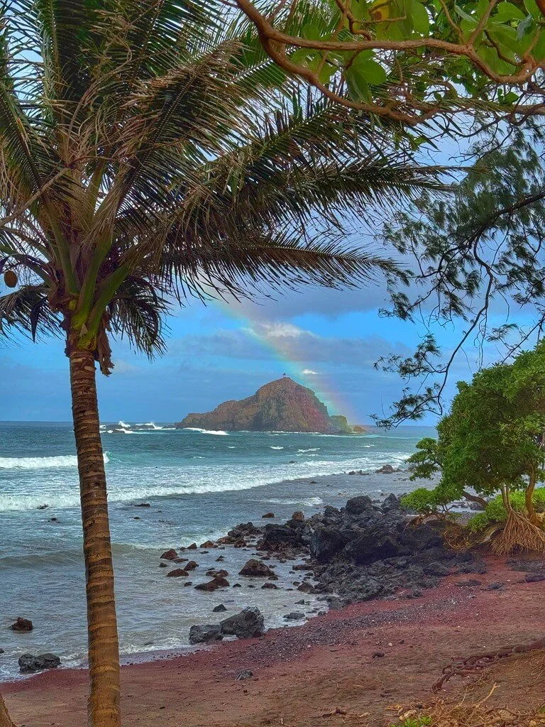 Tropical beach scene with palm trees, rocky shoreline, ocean waves, and a distant island with a rainbow in the cloudy sky.