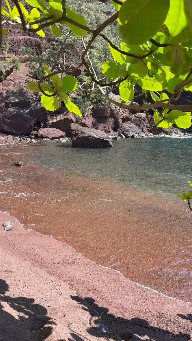 A serene beach scene with clear water, pinkish sand, and green leafy branches overhead, along with rocks along the shoreline.