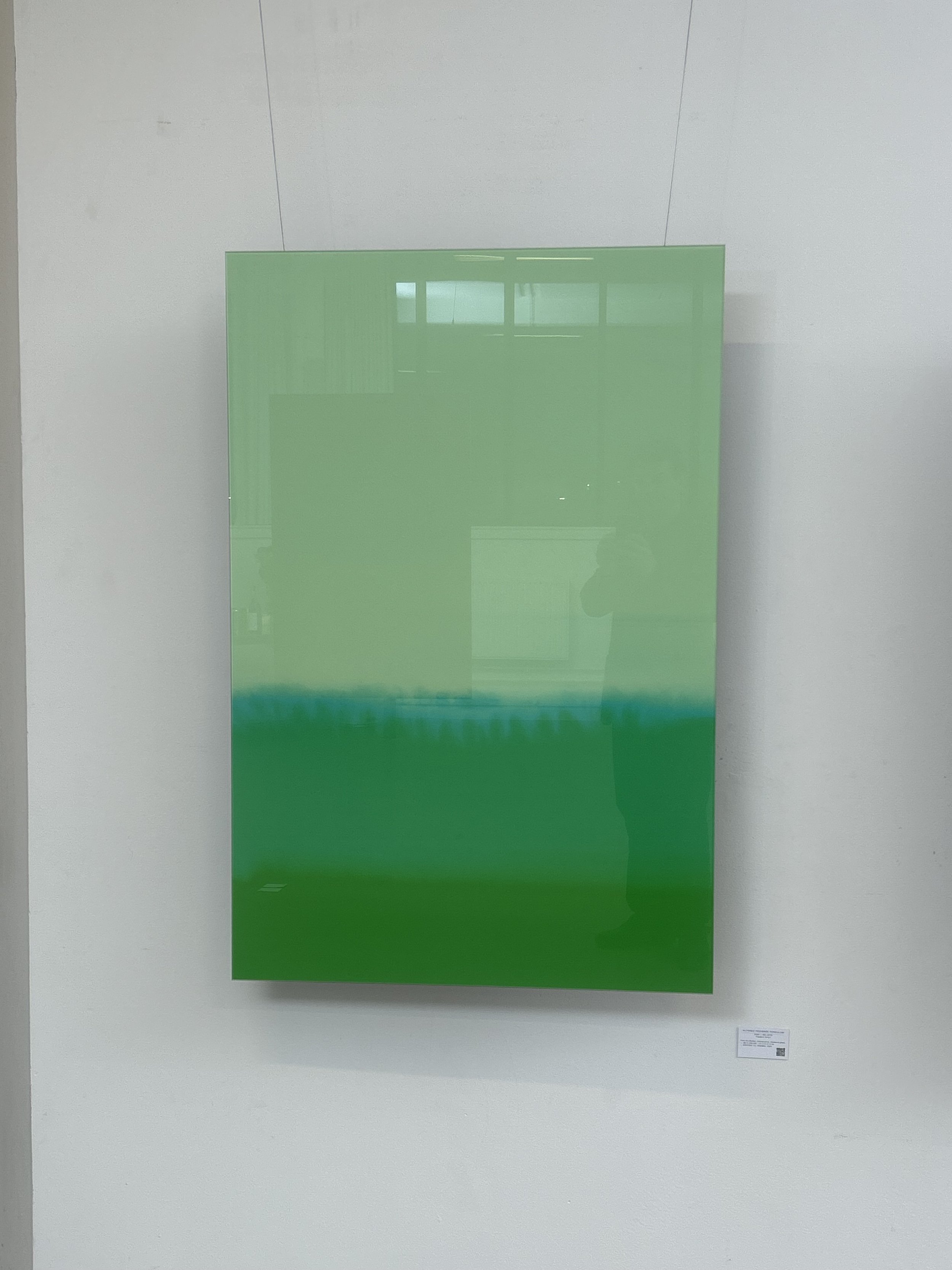 IMG_1387.jpeg