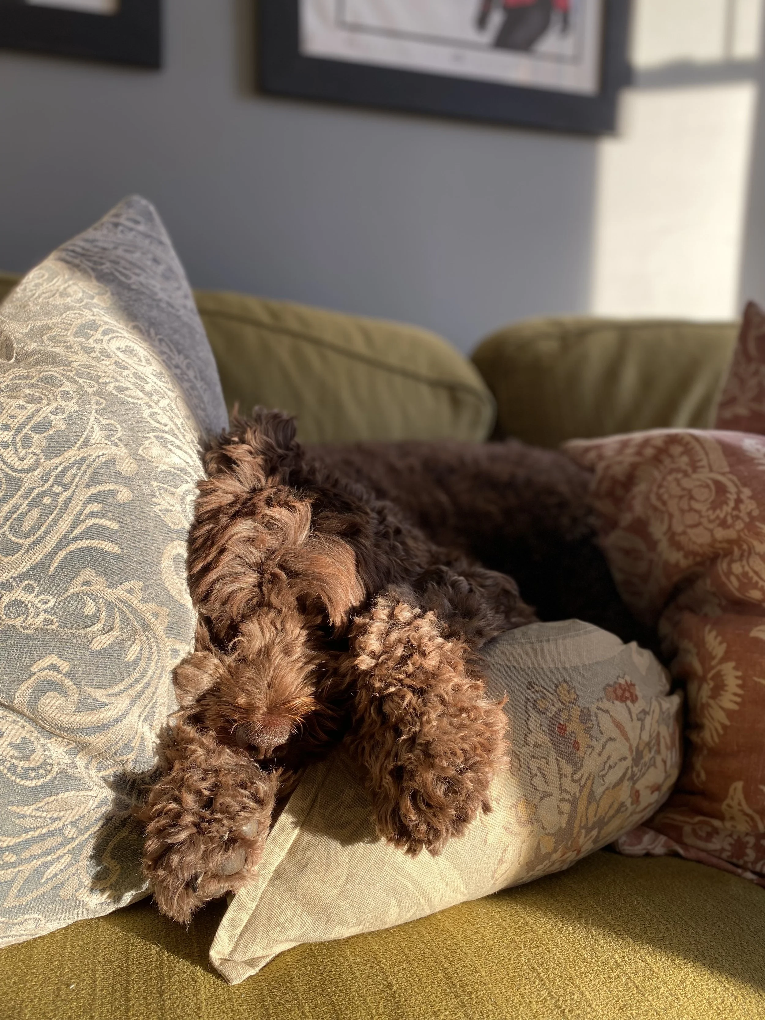 Those “seasonal” feelings of Anxiety are REAL