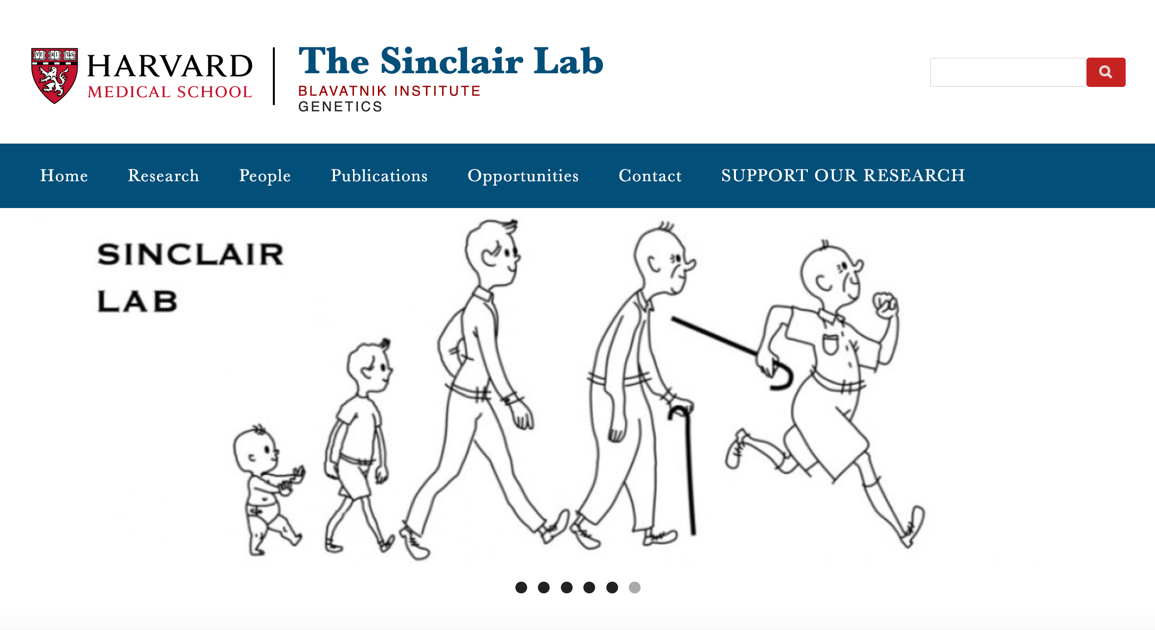 Who we are: The Sinclair research group is a world leader in the understanding of why we age and how to reverse it. Our lab has trained over 100 people who will always remain part of the extended Sinclair lab family. Students and postdocs who train i