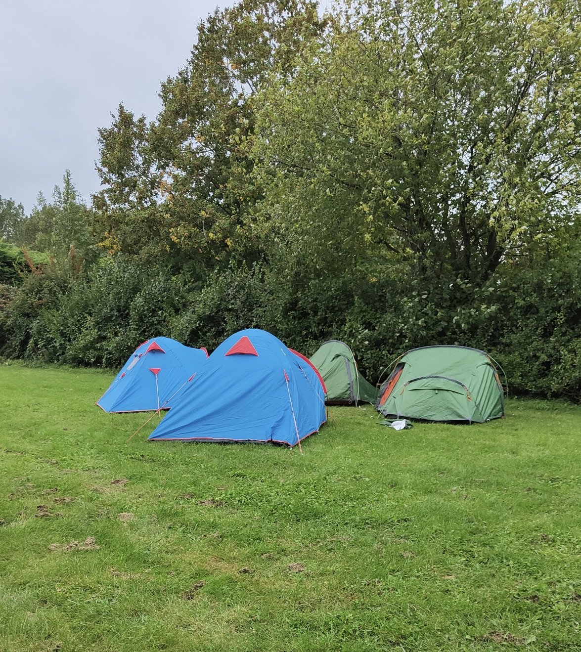 The scouts' campsite