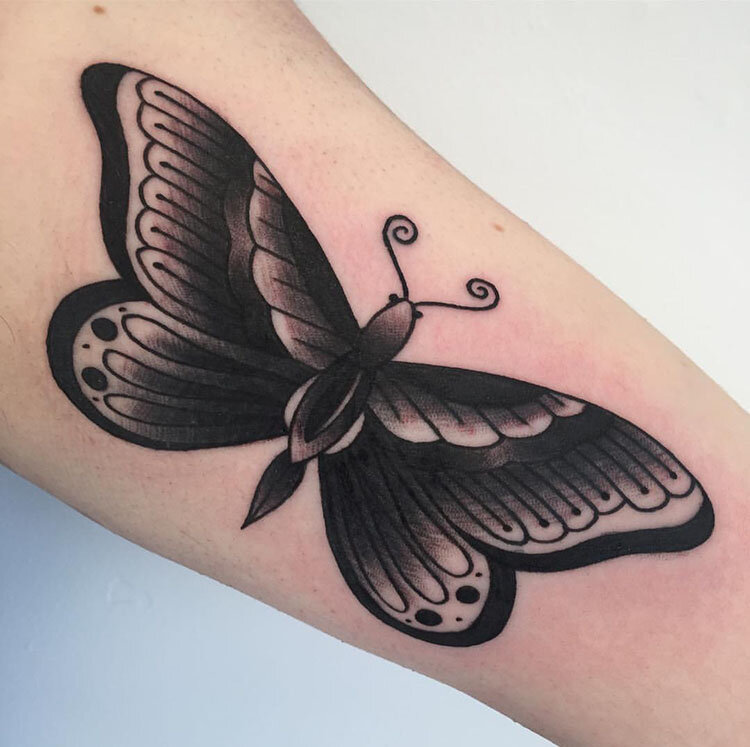 Bold Butterfly