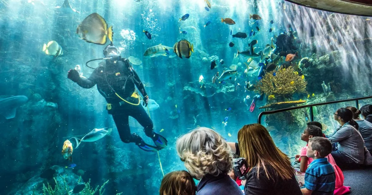 aquarium.jpg