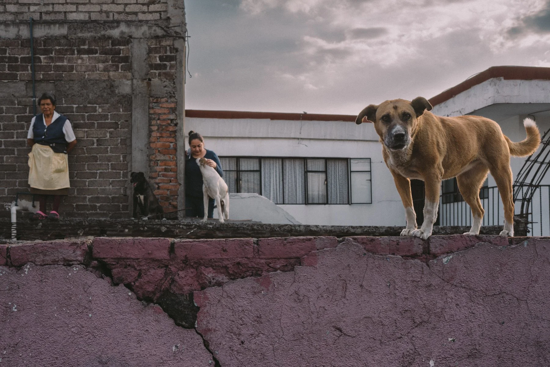 Daniel Ramos - Carnival on the Outskirts-11.jpg