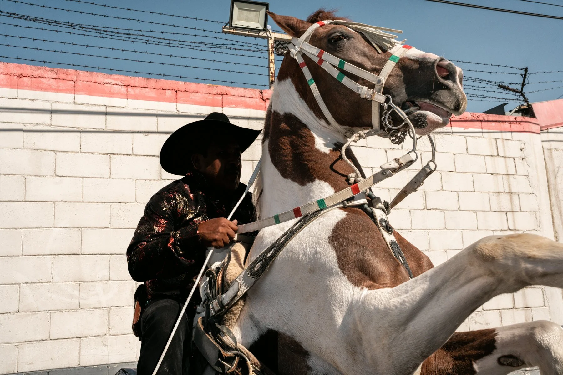 Daniel Ramos - Carnival on the Outskirts-1.jpg