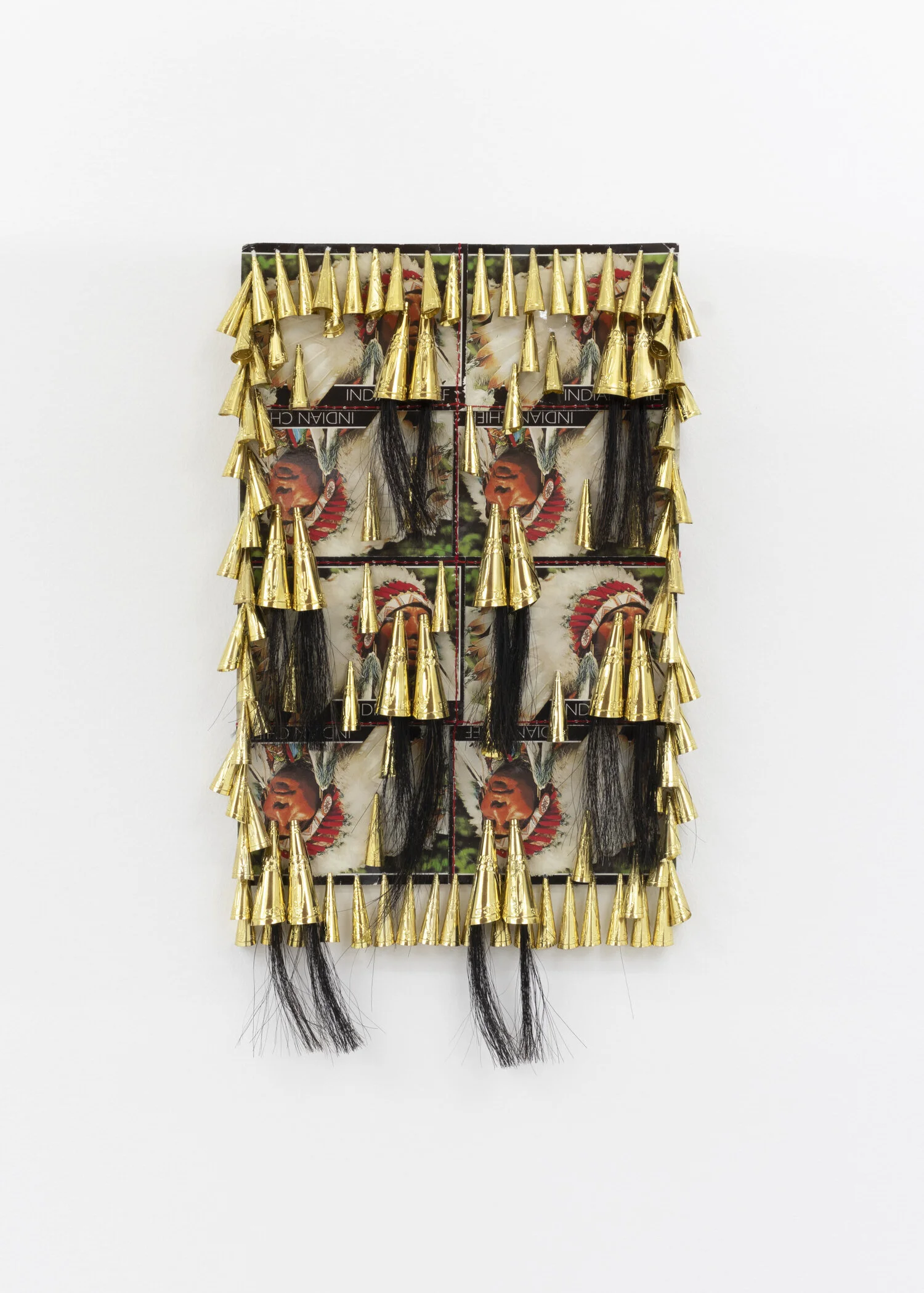 Treaty No. 9, 2018 | horse hair, jingles, postcards | 20 x 11 in