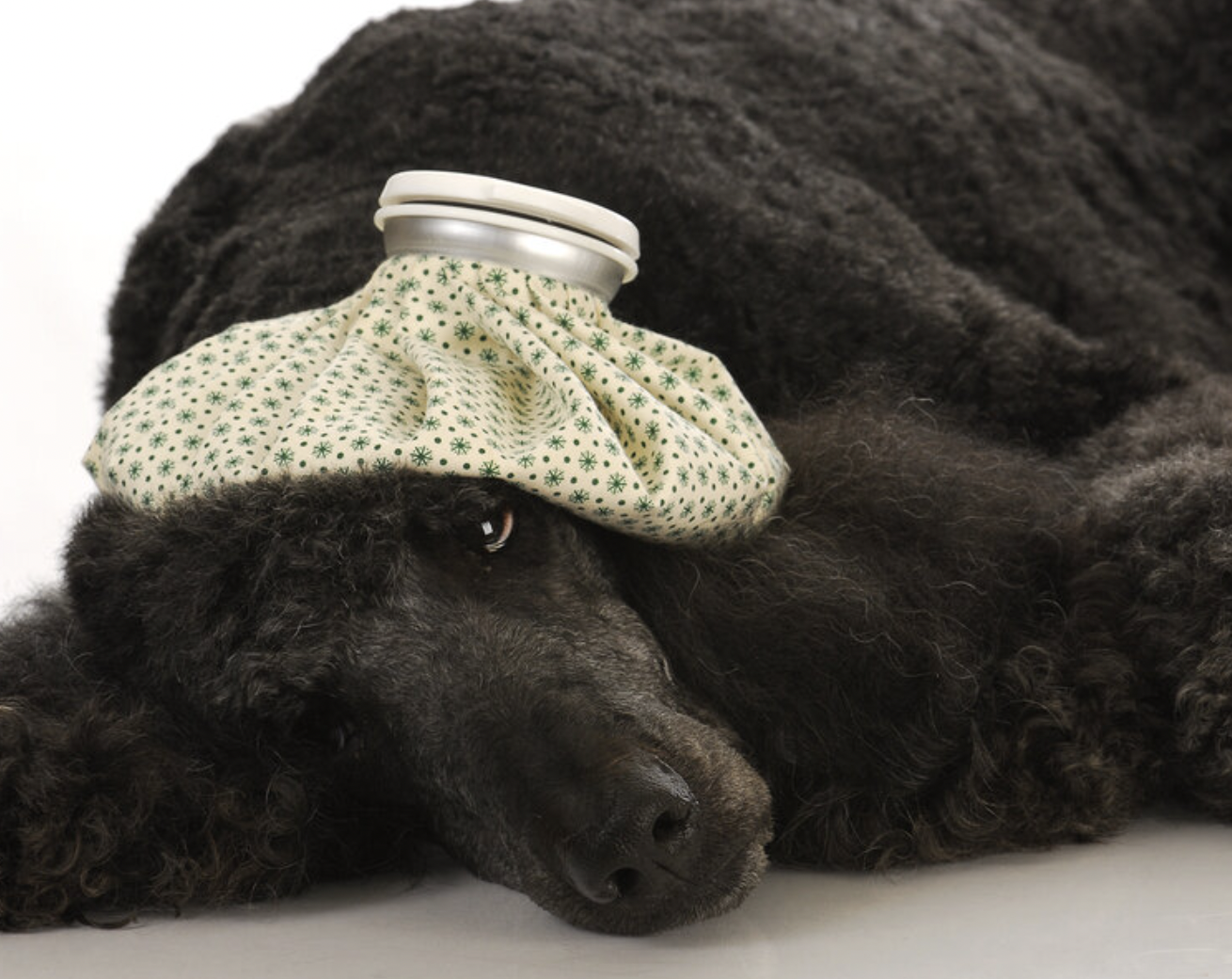 Screen Shot 2023-01-31 at 6.16.26 PM.png