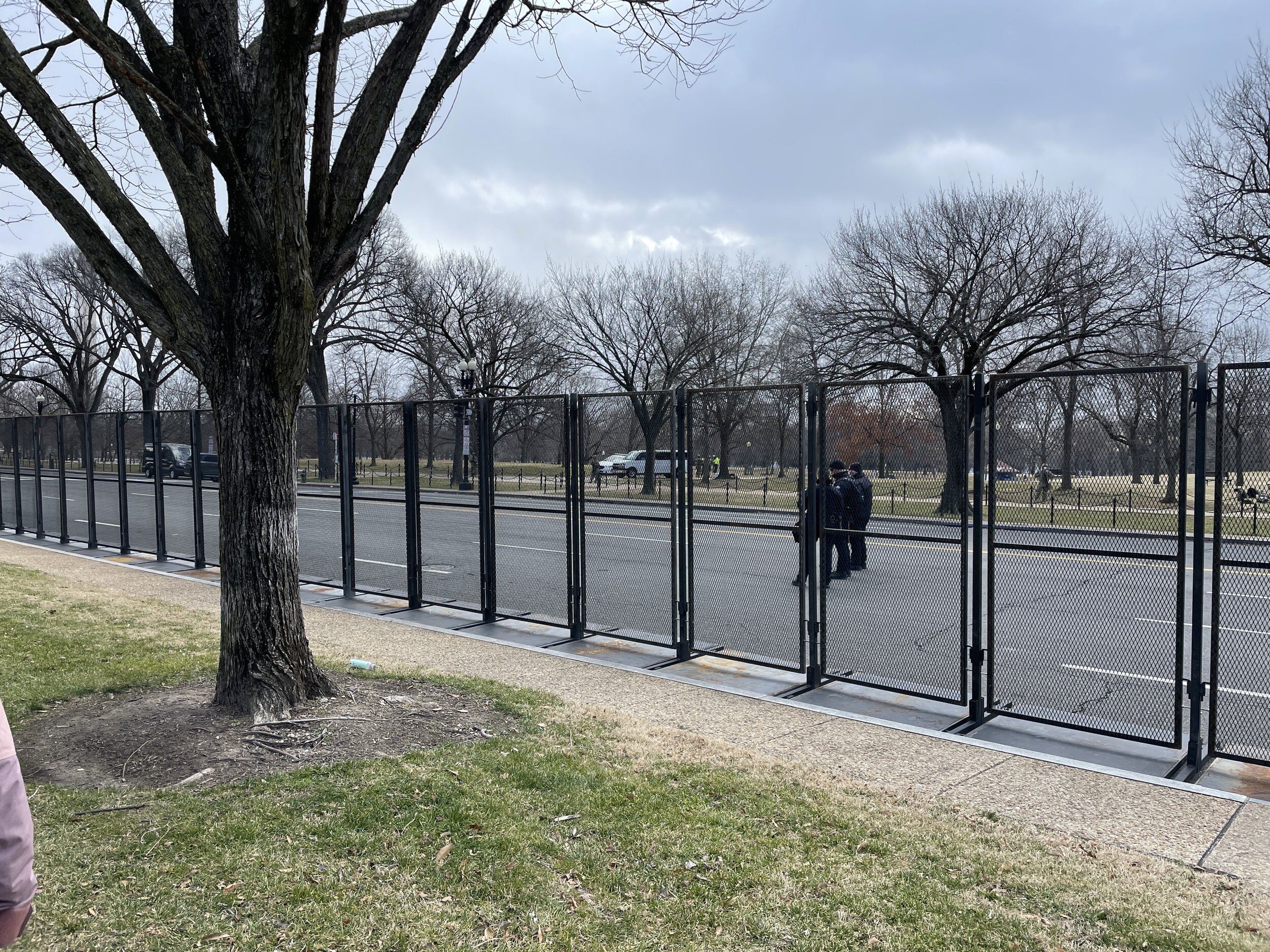DCfences.JPG
