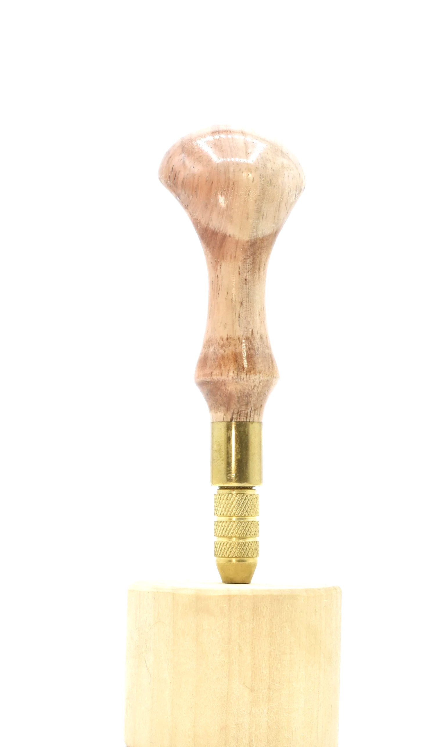 _DSC0004+-+Copy+%288%29.png