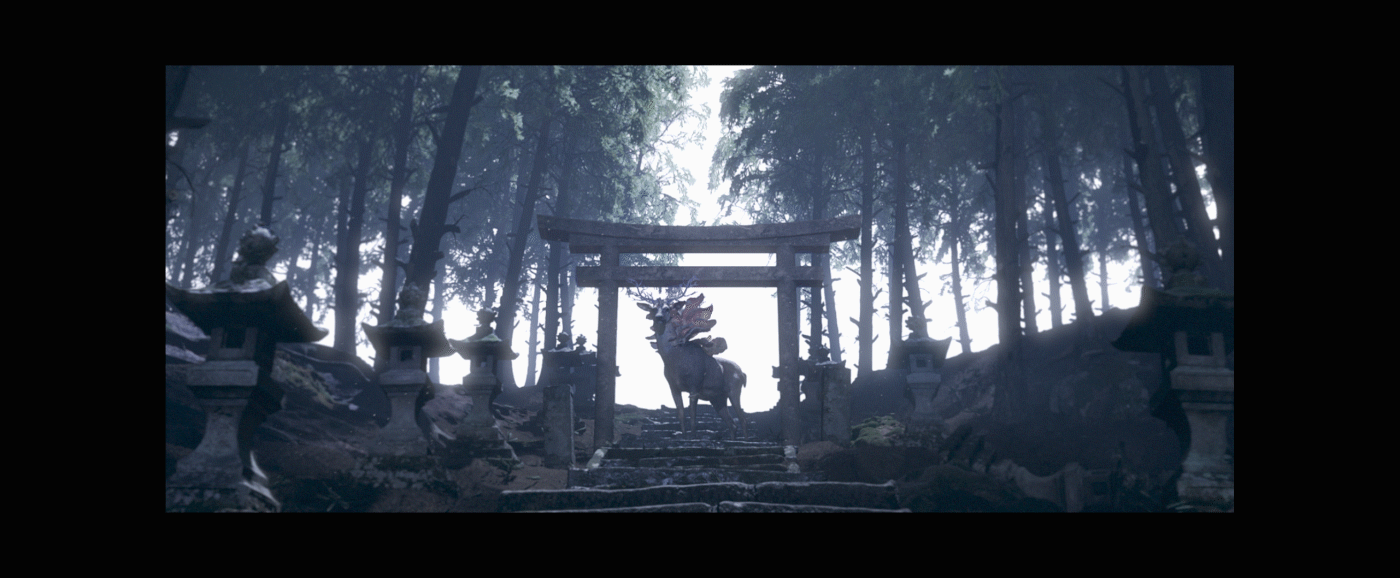 seq050_stare.gif