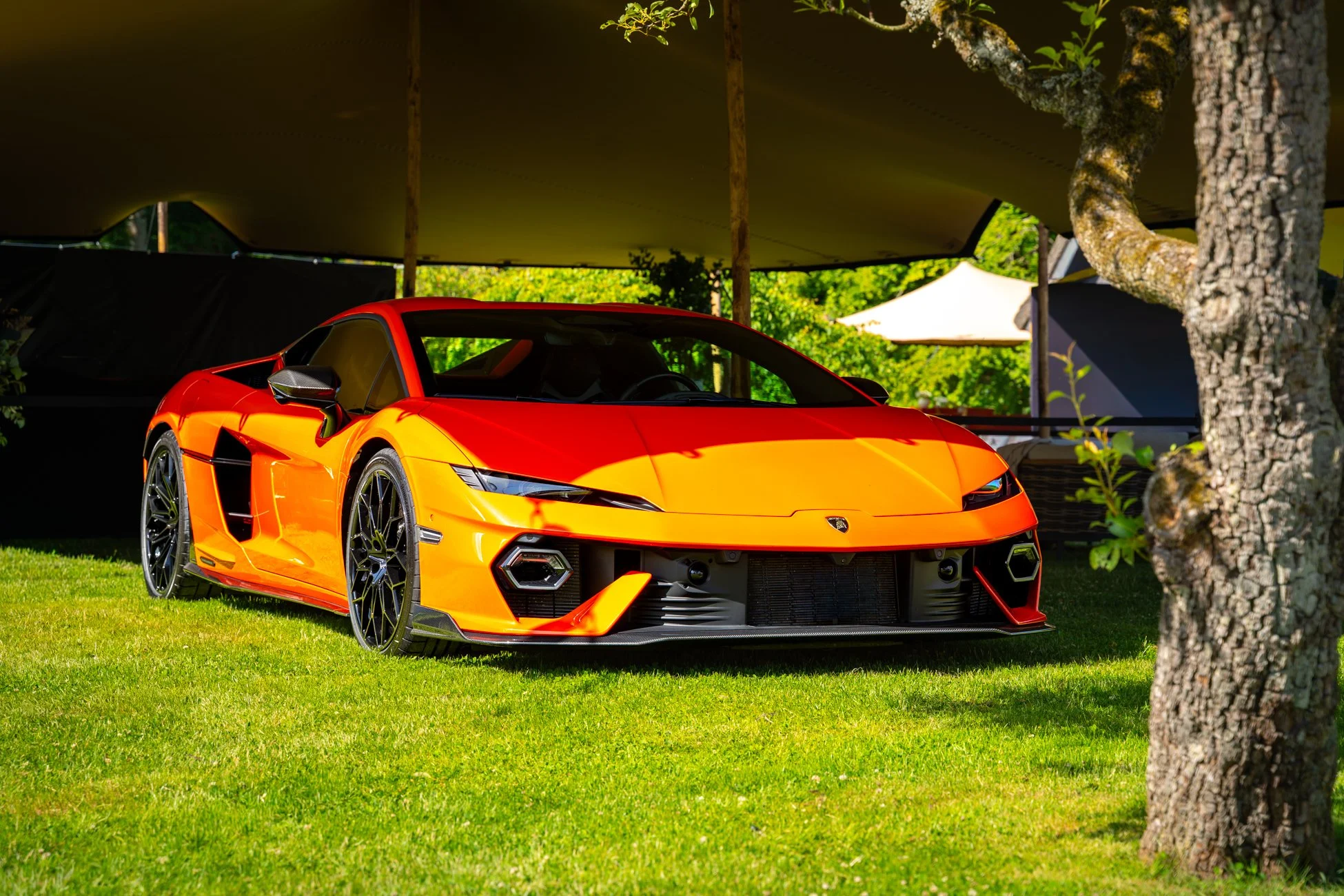 Patrik Storm - Concours - l (1 av 1).jpg