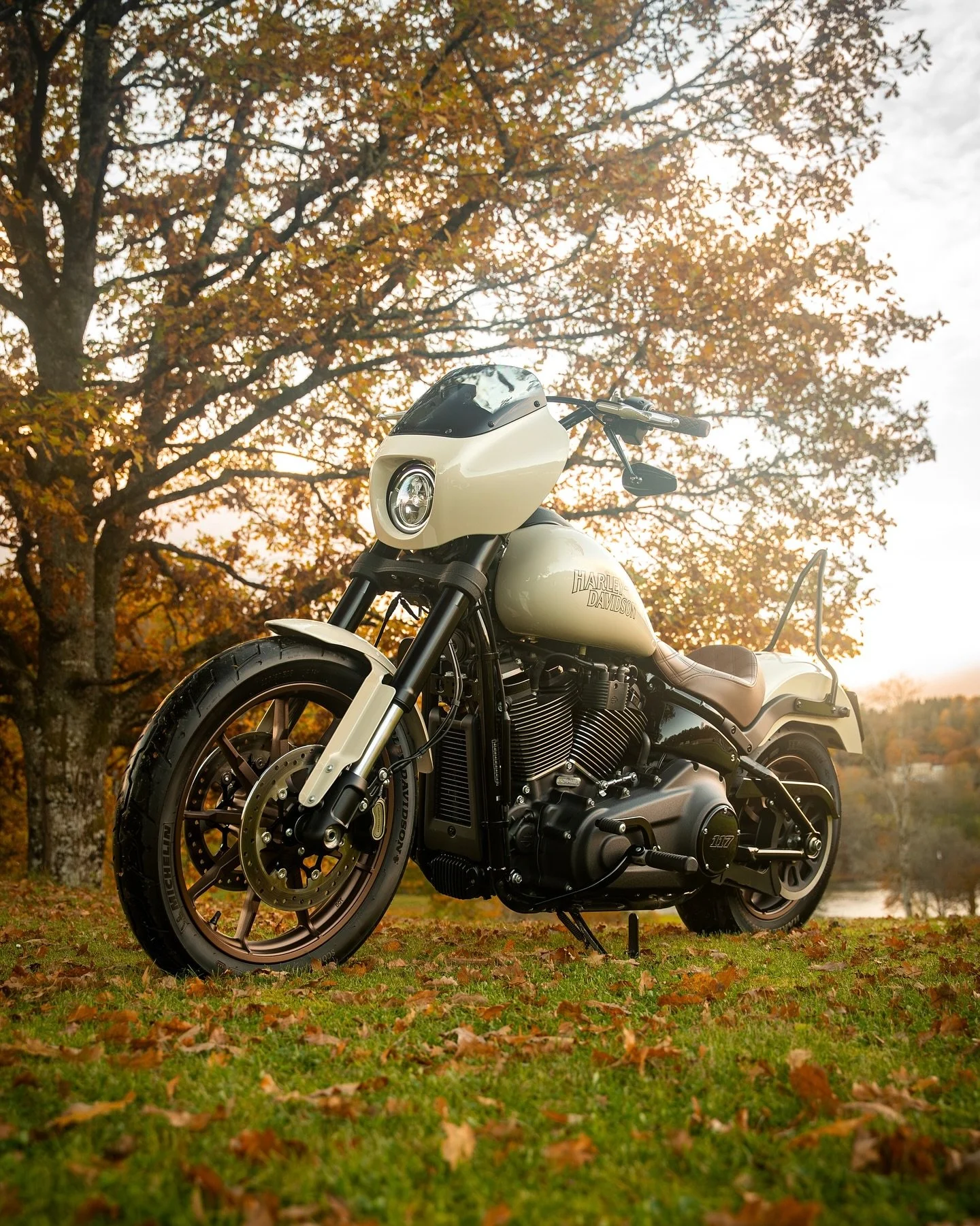 Whiskey tones. Wild heart. Pure Harley soul.
Owner: @roberterixon96 

-

#harleydavidsondaily #harleyriders #lowriders #harleyaddicts #whiskeytones