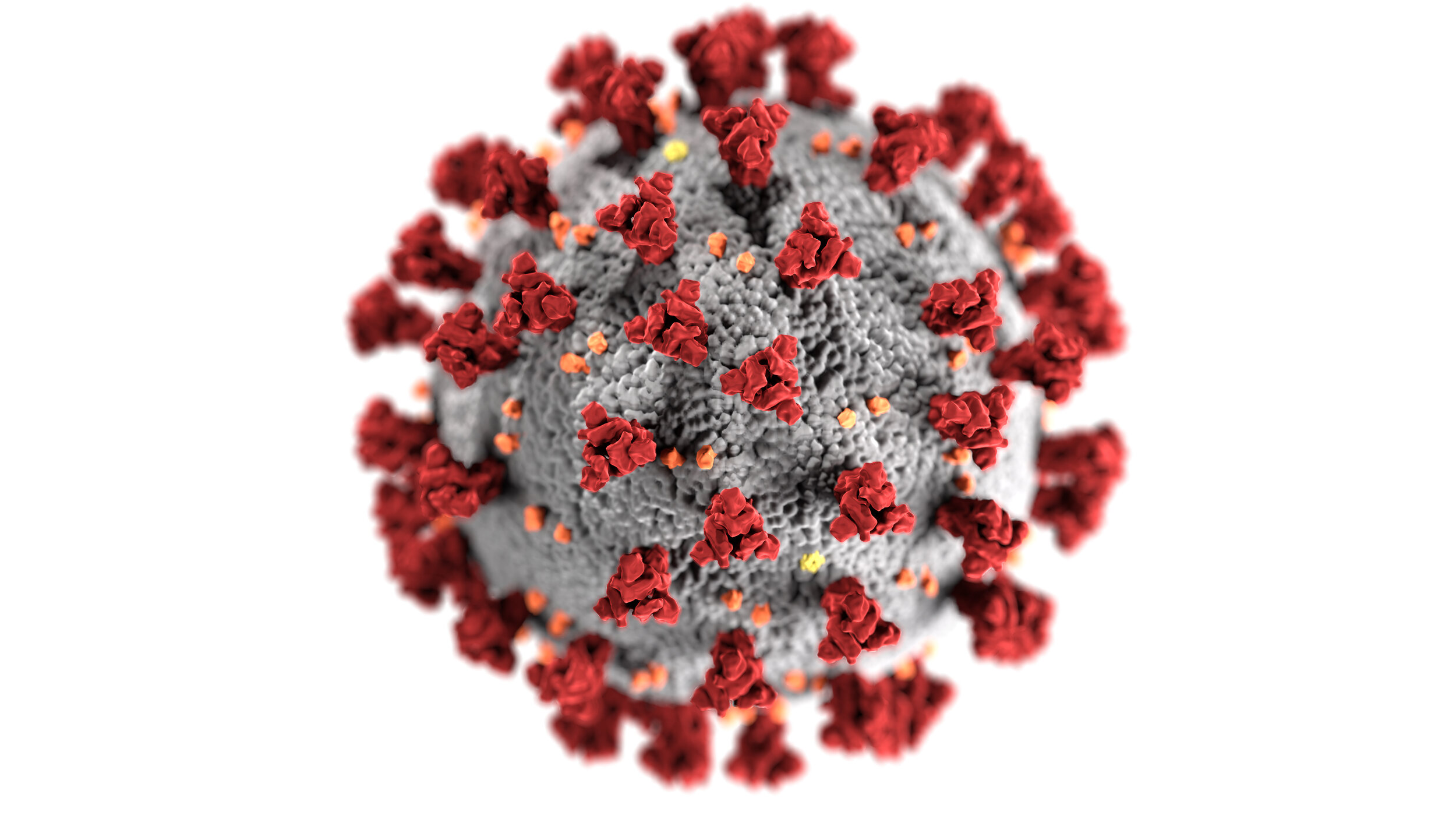 Image of a Single Corona Virus Organism