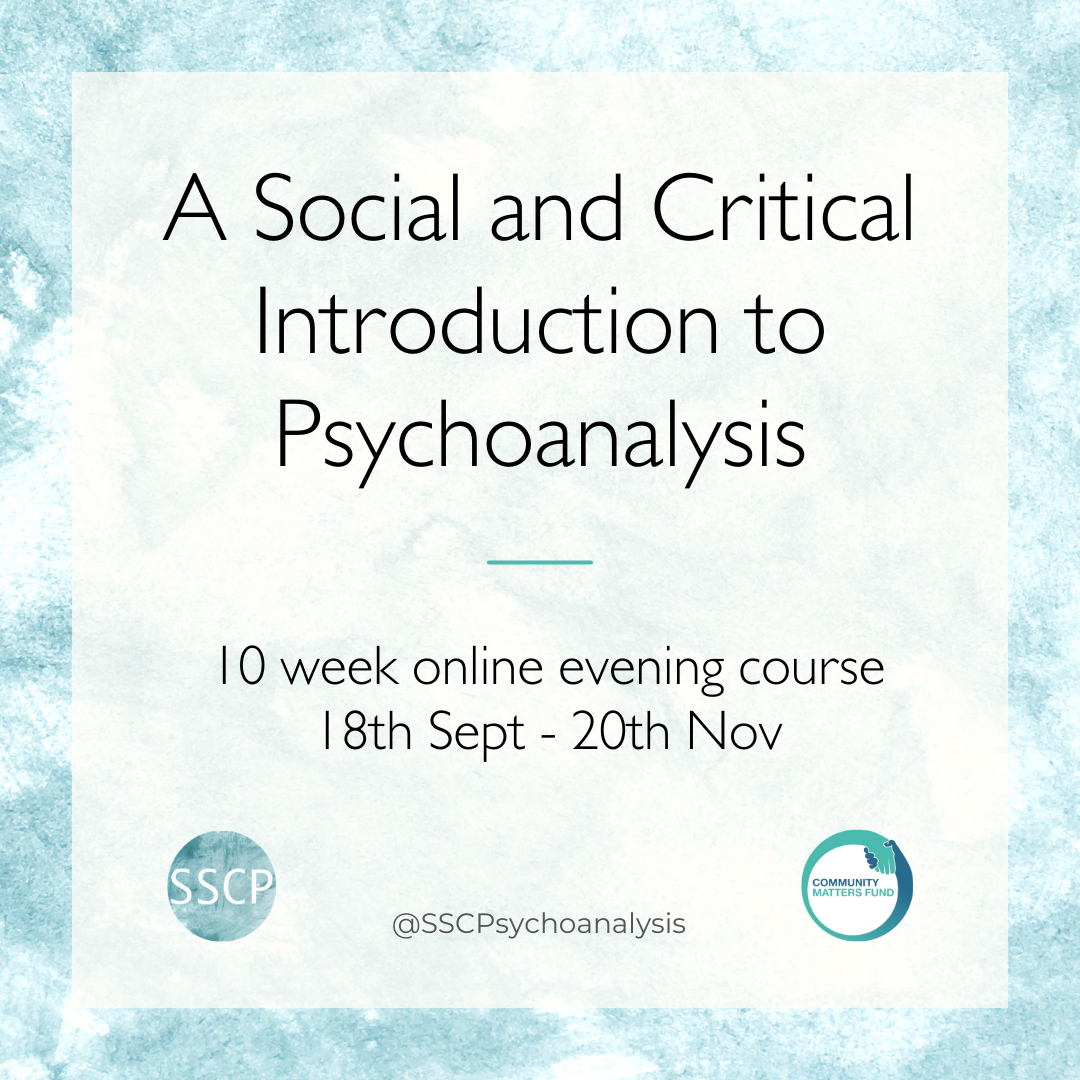 A Social &amp; Critical Introduction to Psychoanalysis