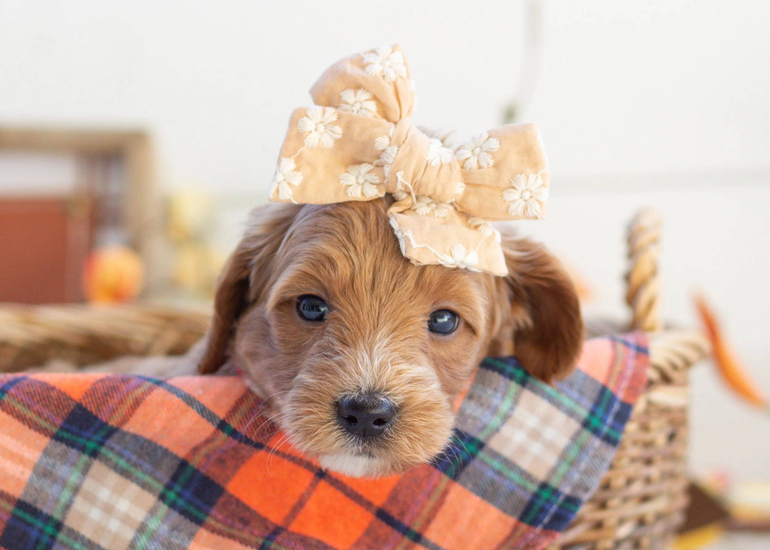 Ferln 10-2-25 Fig 3.80-4.jpg