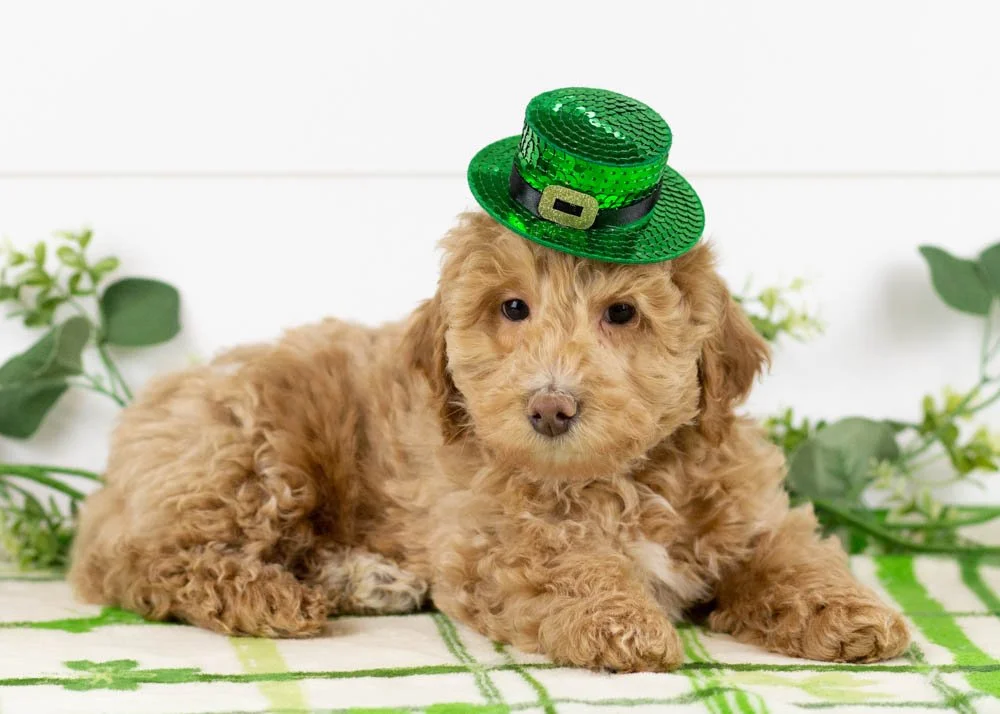 Doug 12-22-25 Ohio 6. 15oz.jpg