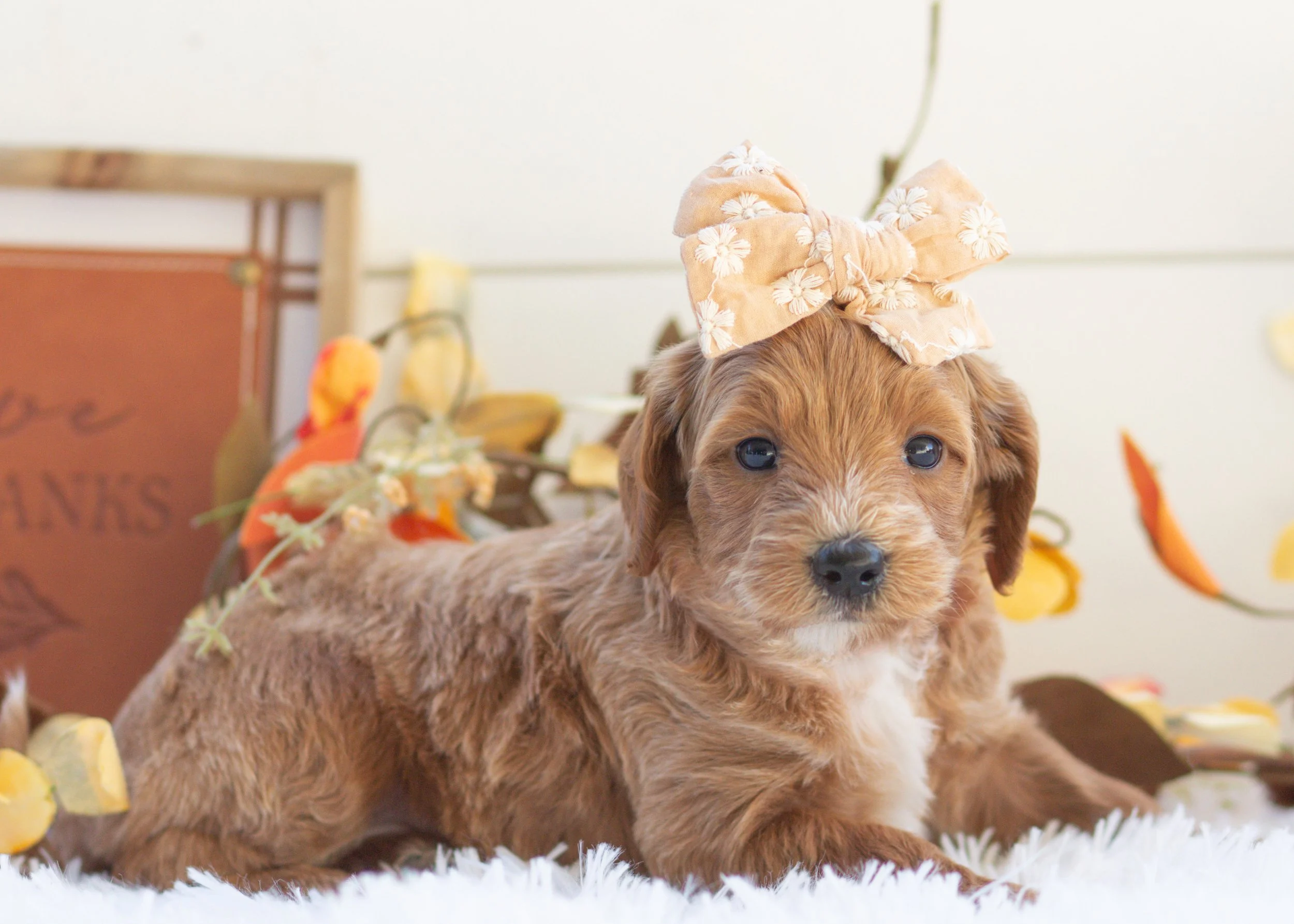 Ferln 10-2-25 Fig 3.80-2.jpg