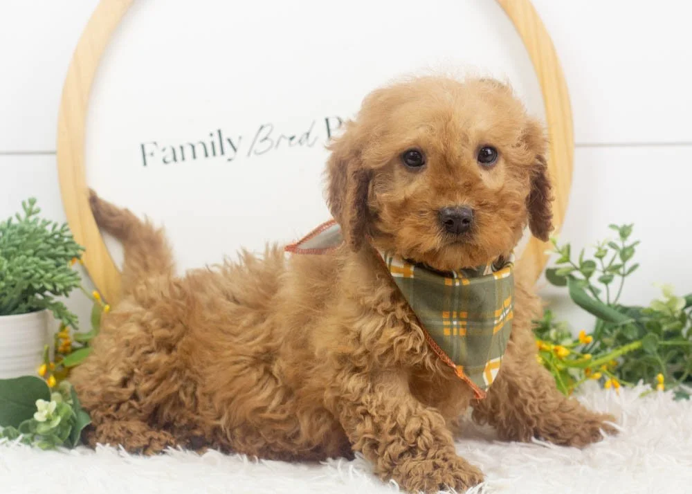 Jesse 11-16-25 Andy 8.98.jpg