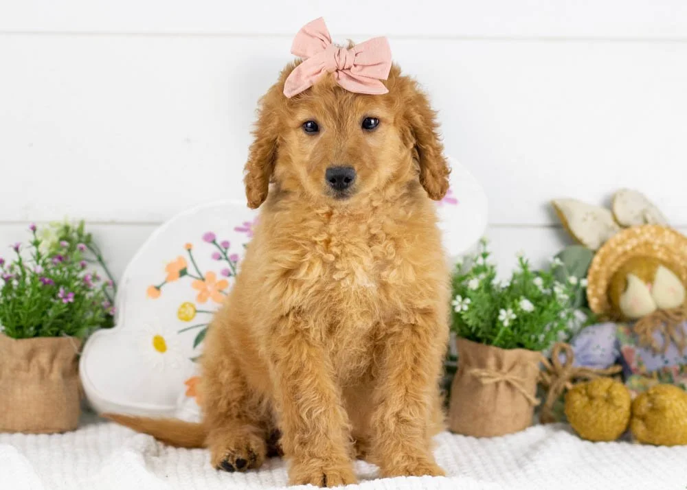 Vonda 12-22-25 Mila 9. 5oz-2.jpg