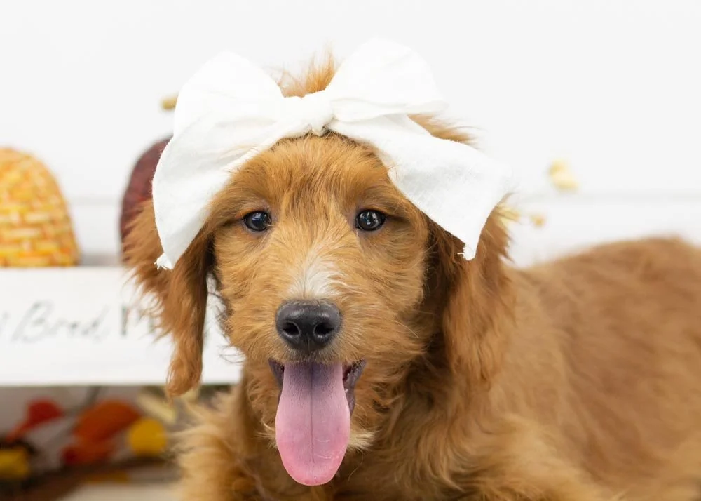 Ray 7-27-25 Faith 16.14-2.jpg