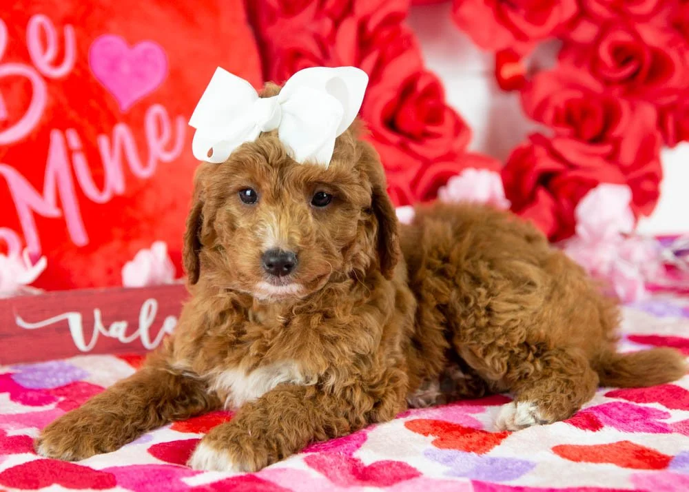 Jesse 11-29-25 F Loretta Lynn 5.42.jpg