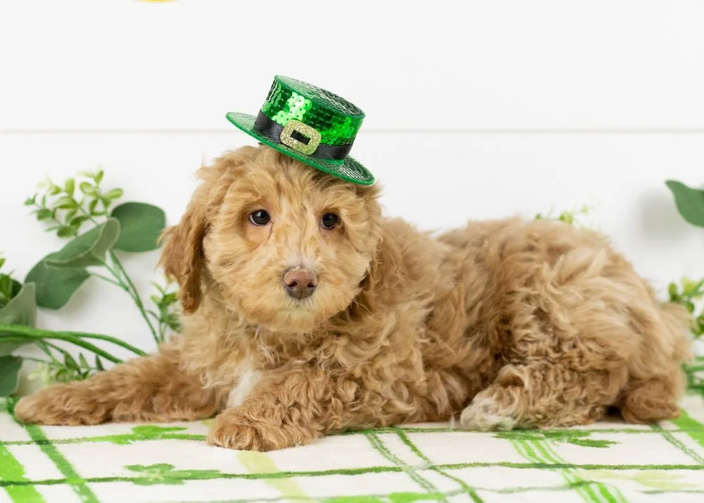 Doug 12-22-25 Ohio 6. 15oz-2.jpg