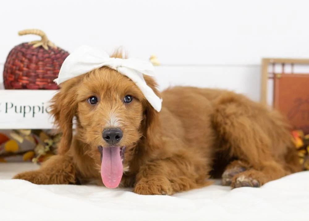 Ray 7-27-25 Faith 16.14.jpg