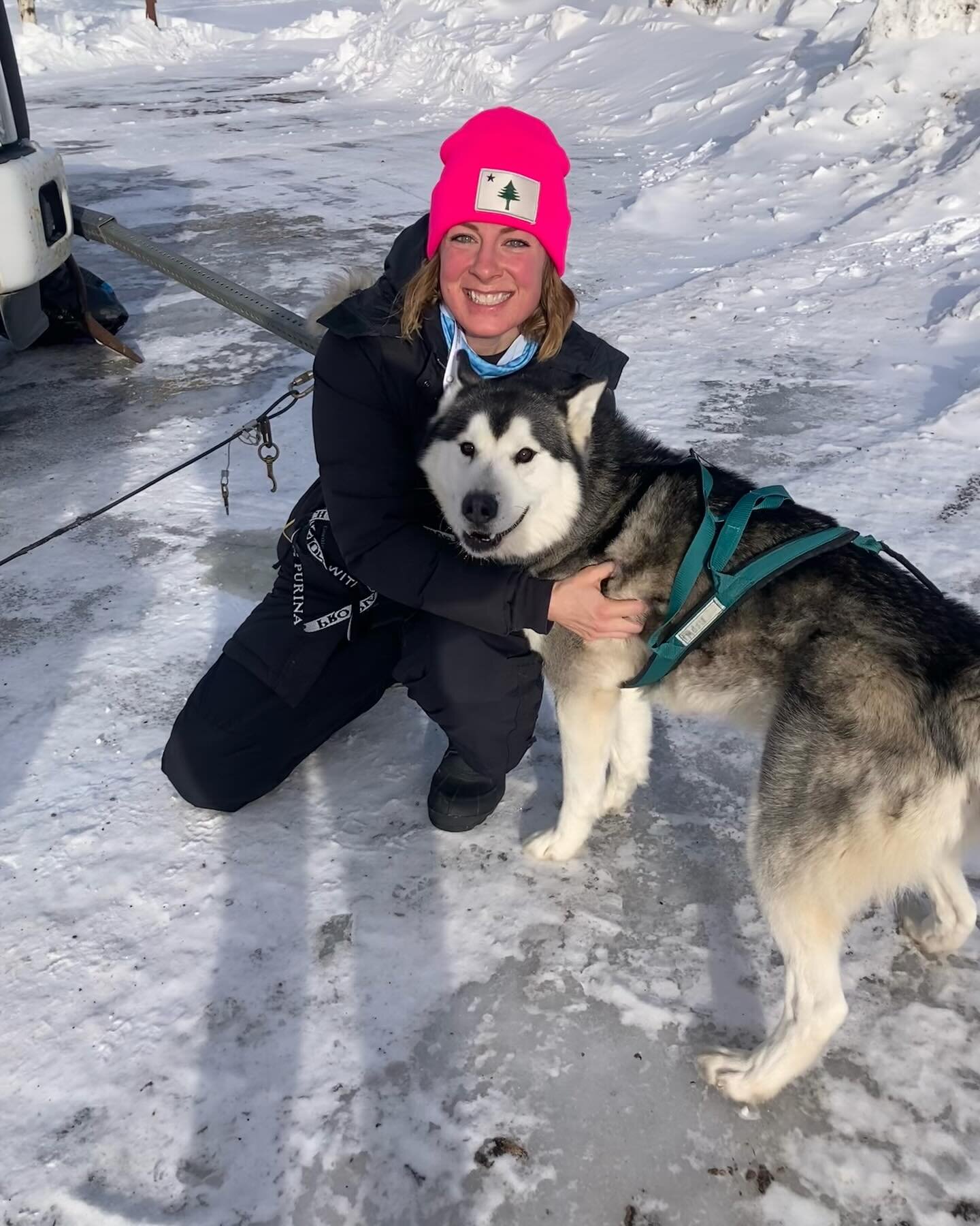 Our Emma went on an epic adventure last week to volunteer as a dog handler at the Iditarod!! She had an incredible experience learning about this sport and the culture around it. She saw remarkably beautiful landscapes including the peak of Denali! S