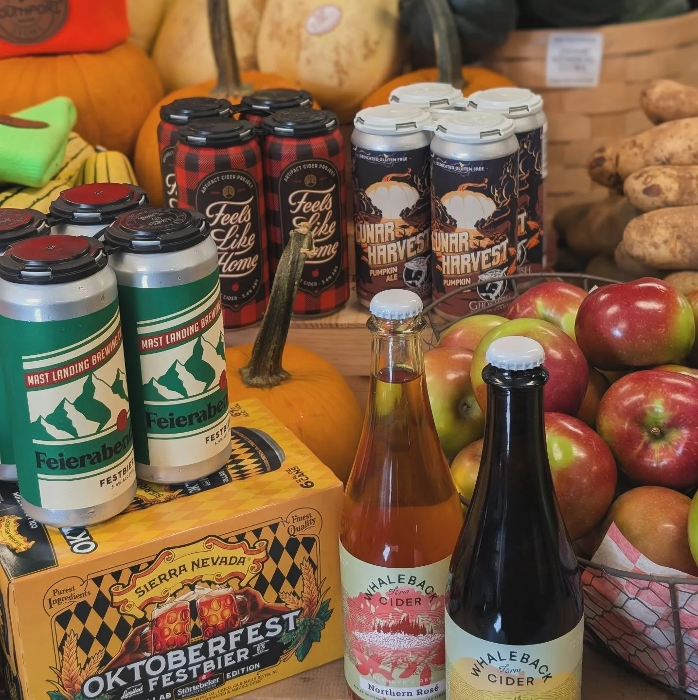 Fall into the season with us! We've brought in some autumnal treats and treasures. Come take a look!