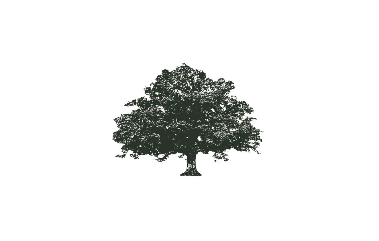 Mobility and motion technology SPAC Live Oak Mobility Acquisition files for a $200 million IPO