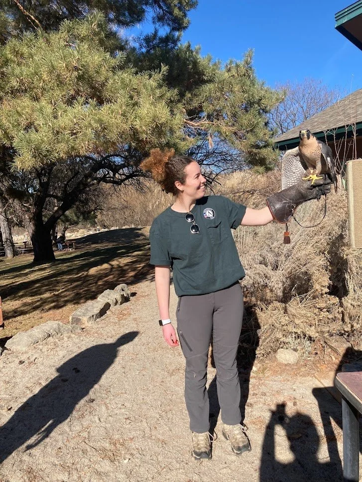 AmeriCorps Volunteer